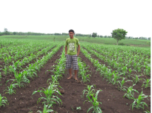 Guatemalan teen in field